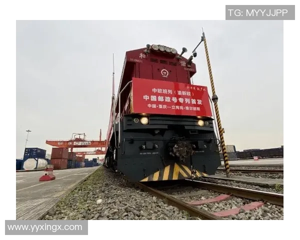 重庆篮球队实力飙升创历史新高引发全国关注与期待